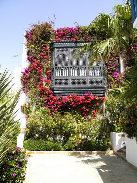 Agadir - Impressionen